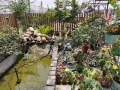 -美家乐农庄·露营·团建(大治路店)