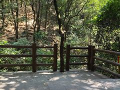 -火炉山森林公园