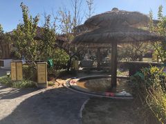 -大连金石滩绿发温泉假日酒店