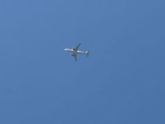 -美心皇宫(沙田大会堂店)