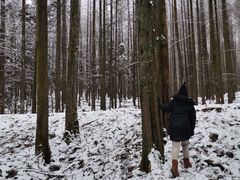 -武陵山森林公园