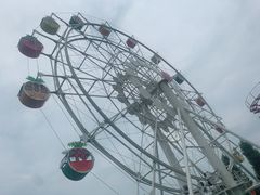 -神户水果花卉公园