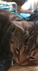 -幸运7纹身刺青Lucky7tattoo