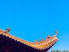 -深圳仙湖植物园