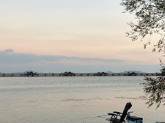 -贡湖湾湿地公园