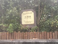 -达蓬山温泉