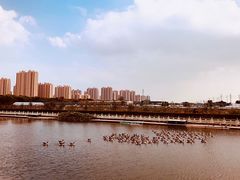 -菊园百果园