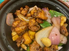 豆豉鸡煲-新世界餐厅(万达店)