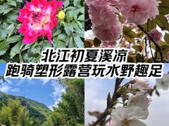 -飞来湖湿地公园