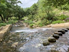 -武汉姚家山旅游景区