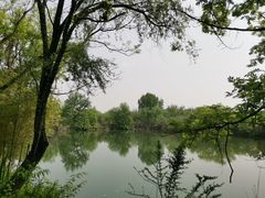 -西溪国家湿地公园