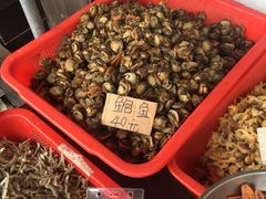 -大湾区中央湿地公园-十九涌