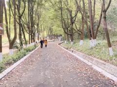 -富乐山