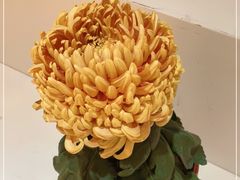-汇龙潭