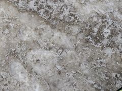 -绿野森林乐园冰雪季