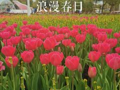 -厦门园林博览苑