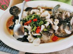 -陶缘一号·四季缘·老字号顺德菜·户外婚礼家宴(西滘店)