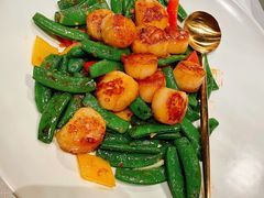 蜜豆带子-三号黄浦会Canton Table