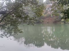 -张鸟园农家乐(张鸟园店)