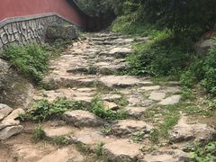 -阳台山自然风景区