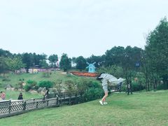 -铁山坪森林公园