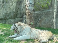 -北京野生动物园