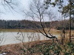 -紫金山山顶公园
