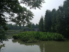 -海珠湖公园