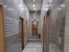-瑞派名望志远动物医院·猫科·內科·异宠专科(直港大道店)