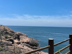 -广东惠东海龟国家级自然保护区