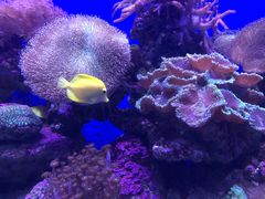 -青岛海底世界-水族馆