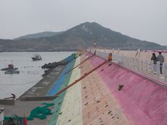 -枸杞岛