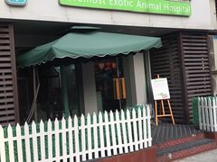 -雨林宠物医院 非犬猫异宠专科