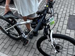 -道路口单车爱瓦士dahon大行