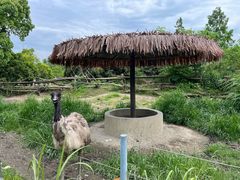 -宁波野生动物园