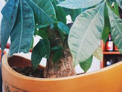 -水韵·渔家臻品私房菜(中庙店)