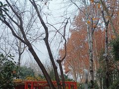 -西安市长乐公园