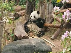 -南宁市动物园