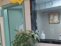 -半岛宠物医院24小时·内窥镜·牙科·碎石中心(府城大道店)