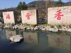 -香雪海