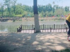 -天津武清北运河郊野公园房车露营地