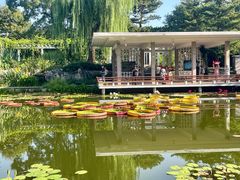 -国家植物园南园