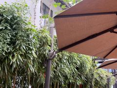 -吴越荣记苏州菜·松鼠桂鱼100%活鱼现做(斜塘老街店)