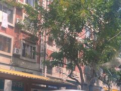 -美美阿姨醋肉(县后路店)