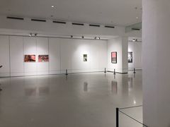 -四川美术学院美术馆