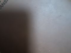 -成都美食巫山烤鱼(三里河路店)