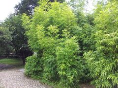 -井冈山革命烈士陵园