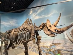 -国家自然博物馆