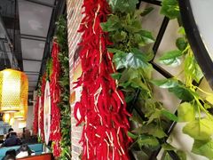 -雲蜀龙阁·金牌水煮鱼(方庄店)