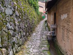 -杨家堂村